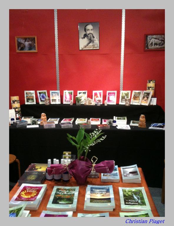 Salon du livre 2011