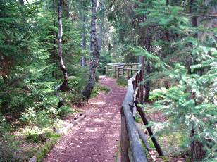 Etang de la Gru�re