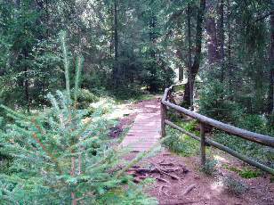 Etang de la Gru�re