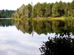 Etang de la Gru�re