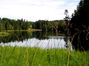 Etang de la Gru�re