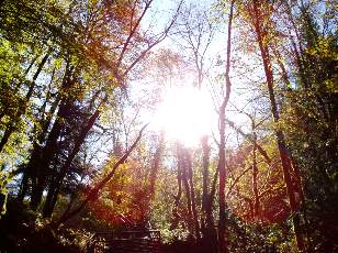 Vall�e du H�risson