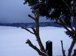 Temp�te sur le Jura