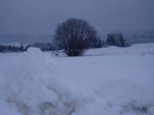 Temp�te sur le Jura