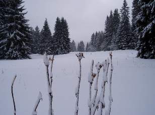 Temp�te sur le Jura