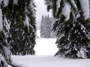 Temp�te sur le Jura