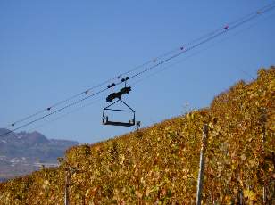 Vigne du Lavaux en novembre avec le monte-charge pour le travail de la vigne