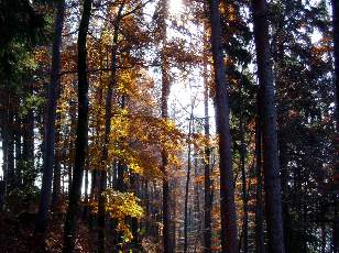 Lac et tourbi�res de Malpas, les pr�s Partot et le bief Belin