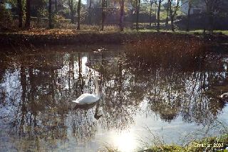 R�veries d'automne 