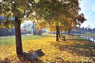 R�veries d'automne 