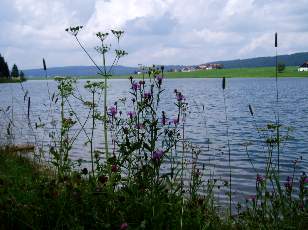 Le lac des Taill�res