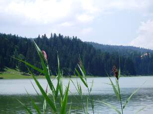 Le lac des Taill�res