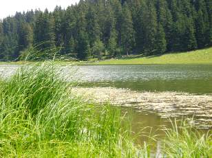 Le lac des Taill�res
