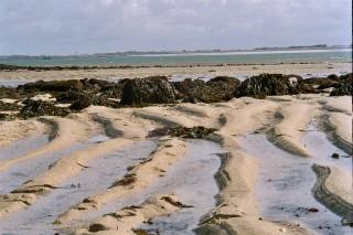 Calme avant la temp�te...