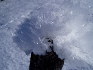 Beaut� et magie de la Nature jouant avec les �l�ments!