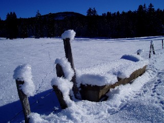 Beaut� et magie de la Nature jouant avec les �l�ments!
