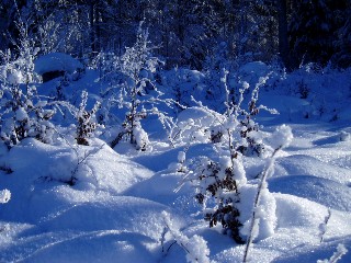 Beaut� et magie de la Nature jouant avec les �l�ments!