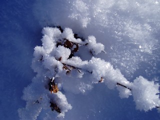 Beaut� et magie de la Nature jouant avec les �l�ments!