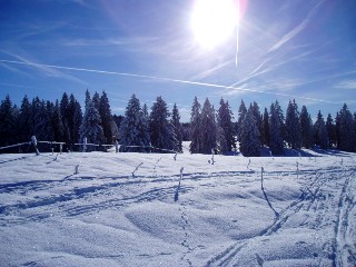 Balade � ski sur les plateaux du Jura Vaudois