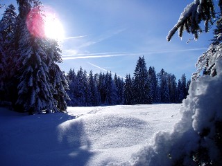 Beaut� de la Nature