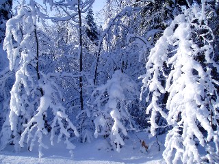 Beaut� de la Nature