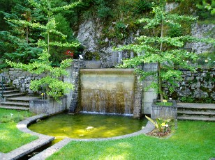 Jardin botanique au mois d'ao�t � Neuch�tel