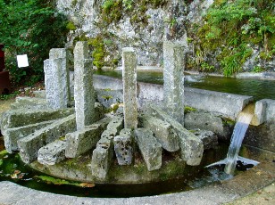 Jardin botanique au mois d'ao�t � Neuch�tel