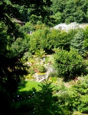 Jardin botanique au mois d'ao�t � Neuch�tel