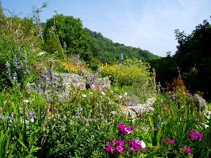 Jardin botanique au mois d'ao�t � Neuch�tel