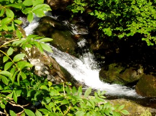 La mont�e au lac Bleu