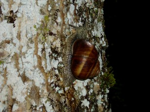 Gorges de la Po�ta-Raisse, sur le chemin