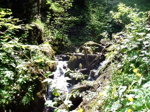 Gorges de la Po�ta-Raisse