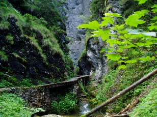 Gorges de la Po�ta-Raisse