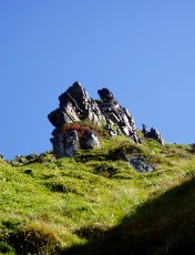 Magie et Beaut� de la Nature