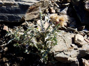 Magie et Beaut� de la Nature