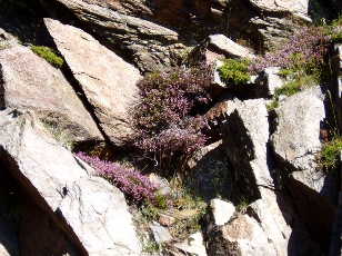 Magie et Beaut� de la Nature