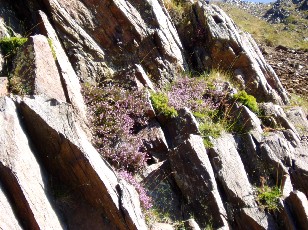 Magie et Beaut� de la Nature