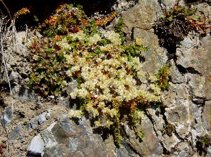 Magie et Beaut� de la Nature