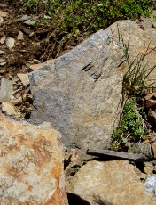 Magie et Beaut� de la Nature