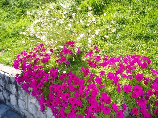 St-Gingolph, magnifique village fronti�re